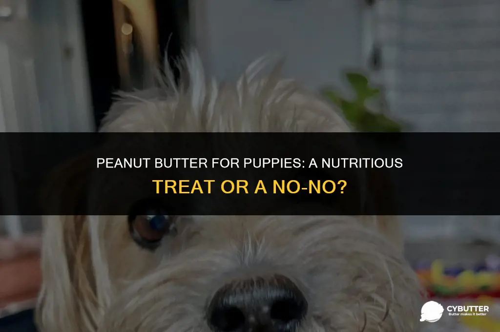can 5 week old puppies eat peanut butter