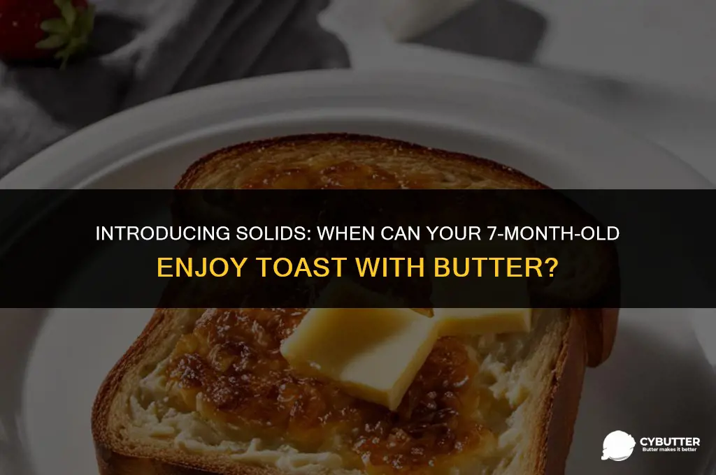 can 7 month old eat toast with butter