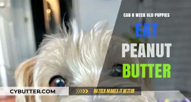 Peanut Butter for Puppies: A Nutritious Treat or a No-No?