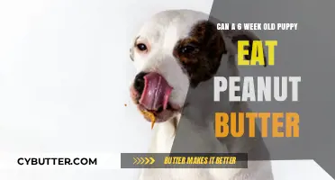 Peanut Butter for Puppies: A Nutritious Treat or a No-No?