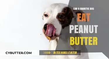 Peanut Butter for Diabetic Dogs: A Nutritious Treat or a No-Go?