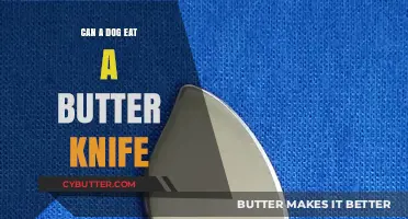 Can Dogs Safely Eat Butter Knives? A Comprehensive Guide