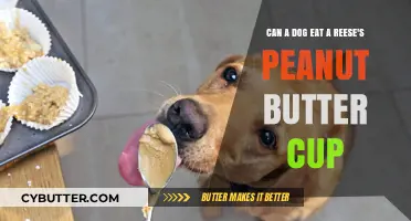Can Dogs Enjoy Reese's Peanut Butter Cups Safely?