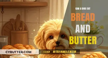 Can Dogs Enjoy Bread and Butter Safely?