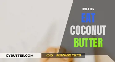 Can Dogs Enjoy Coconut Butter? A Comprehensive Guide for Pet Owners