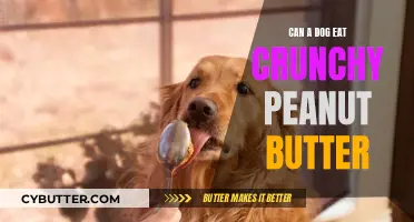 Crunchy Peanut Butter: A Safe Treat for Your Dog?