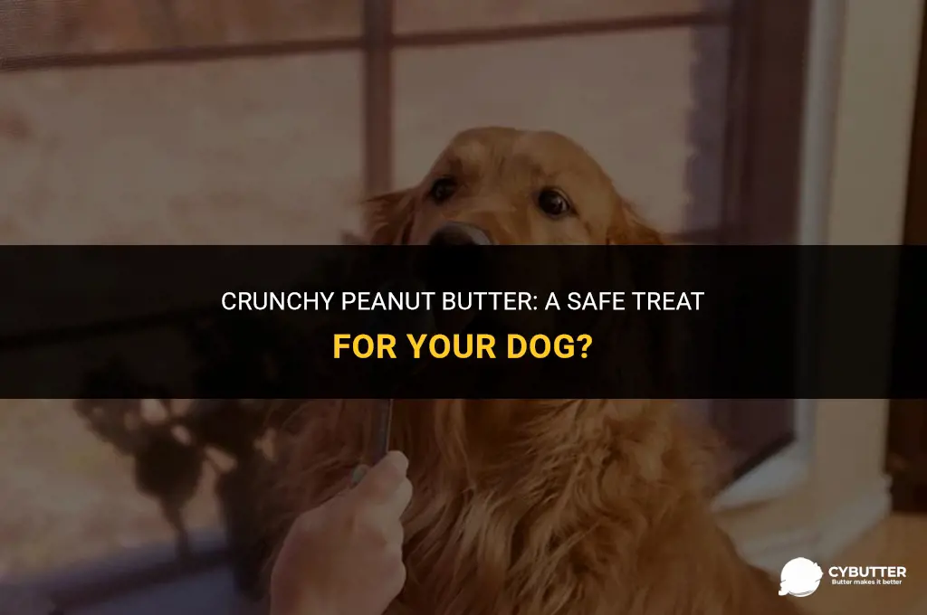 can a dog eat crunchy peanut butter