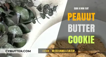 Peanut Butter Cookies: A Tasty Treat for Your Furry Friend?