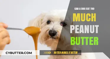 Peanut Butter Overload: Can Dogs Indulge Too Much?