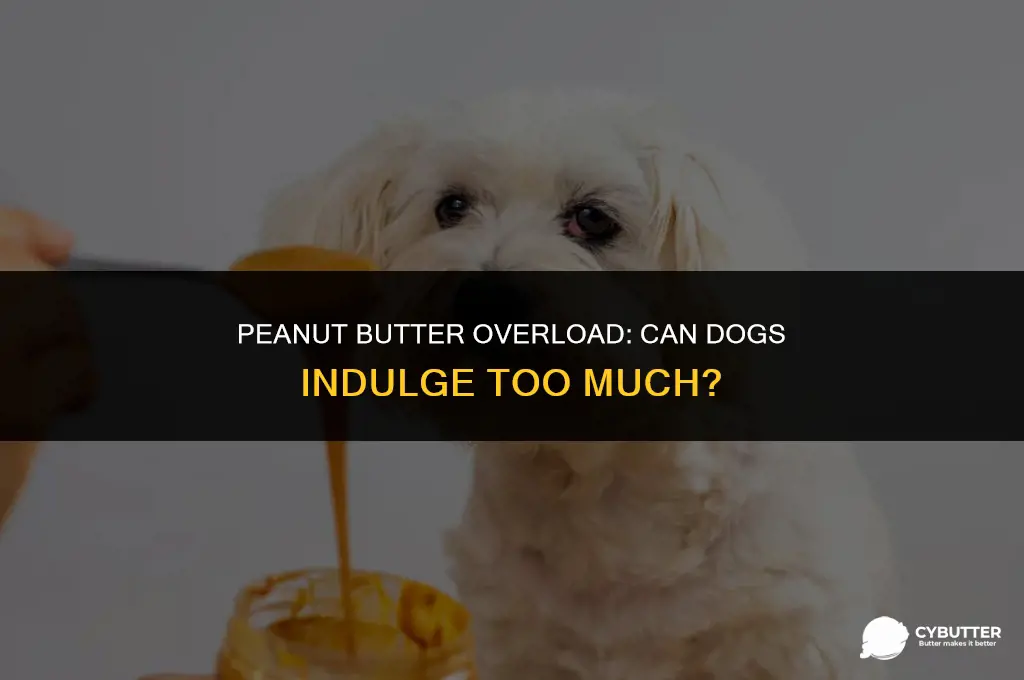 can a dog eat too much peanut butter