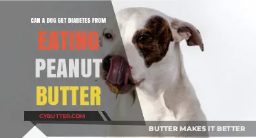 Can Dogs Develop Diabetes from Eating Peanut Butter? Facts Revealed