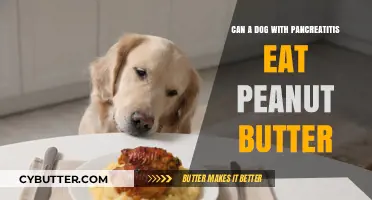 Peanut Butter for Dogs with Pancreatitis: Safe or Risky?