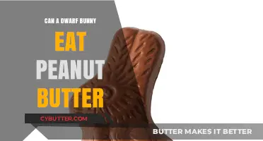 Peanut Butter for Dwarf Bunnies: A Nutritious Treat or Not?