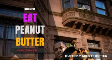 Can Foxes Indulge in Peanut Butter? A Nutty Inquiry
