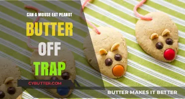 Can a Mouse Eat Peanut Butter Off a Trap?