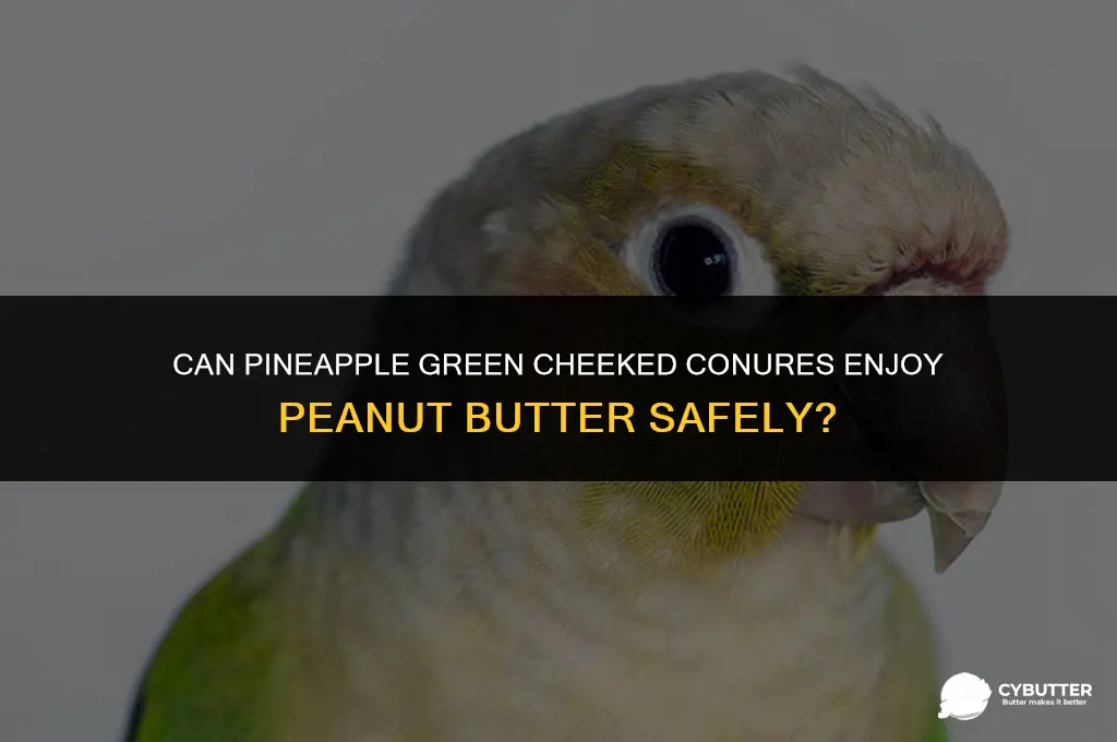 can a pineapple green cheeked conyer eat peanut butter