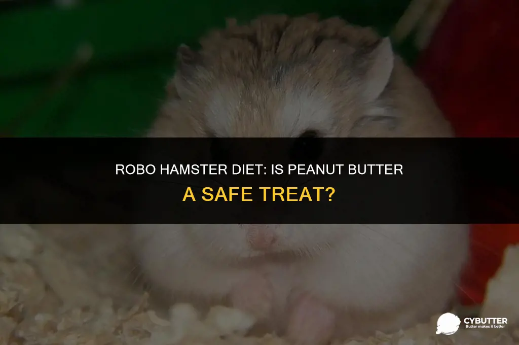 can a robo hamster eat peanut butter