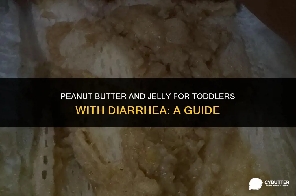 can a toddler with diarrhea eat peanut butter and jelly
