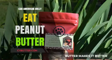 Peanut Butter for American Bullies: A Nutritious Treat or Not?
