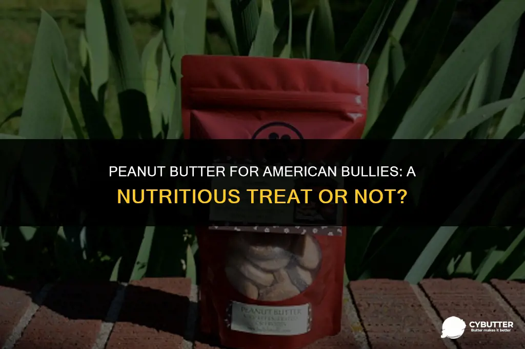 can american bully eat peanut butter