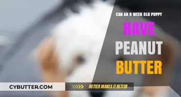 Peanut Butter for Puppies: A Nutty Treat at 8 Weeks Old?