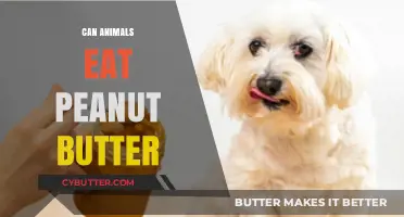 Peanut Butter for Pets: A Nutty Debate on Canine and Feline Diets