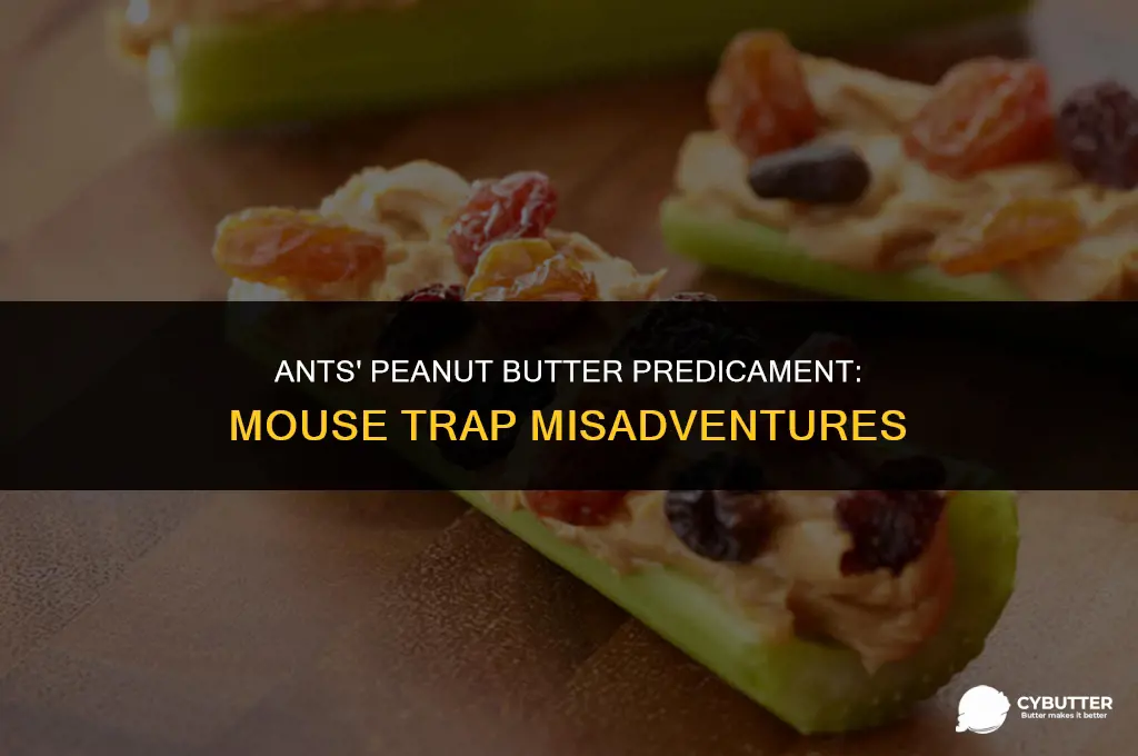 can ants eat peanut butter off mouse trap