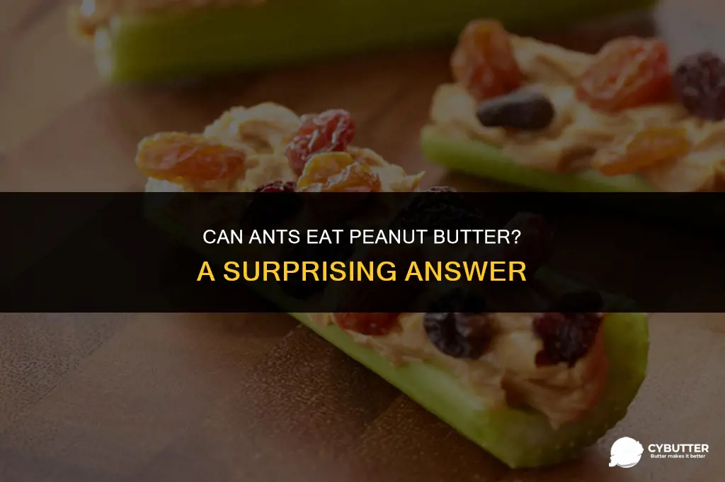 can ants eat peanut butter