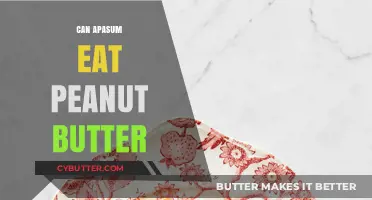 Exploring the Nutritional Benefits of Peanut Butter for Apasums