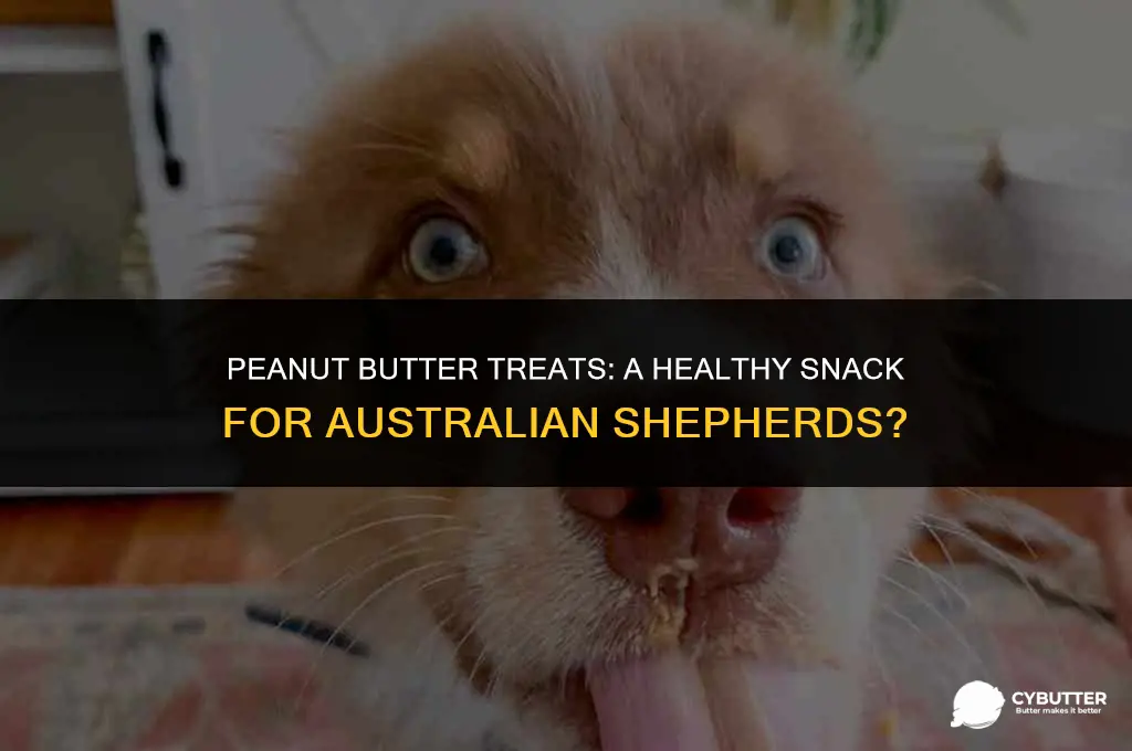 can australian sheppards eat peanut butter