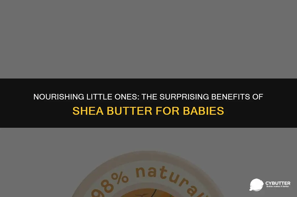 can babies eat shea butter