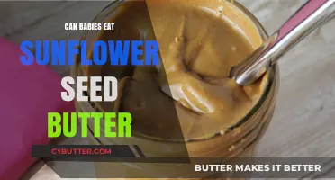 Sunflower Seed Butter for Babies: A Nutritious and Safe Alternative?