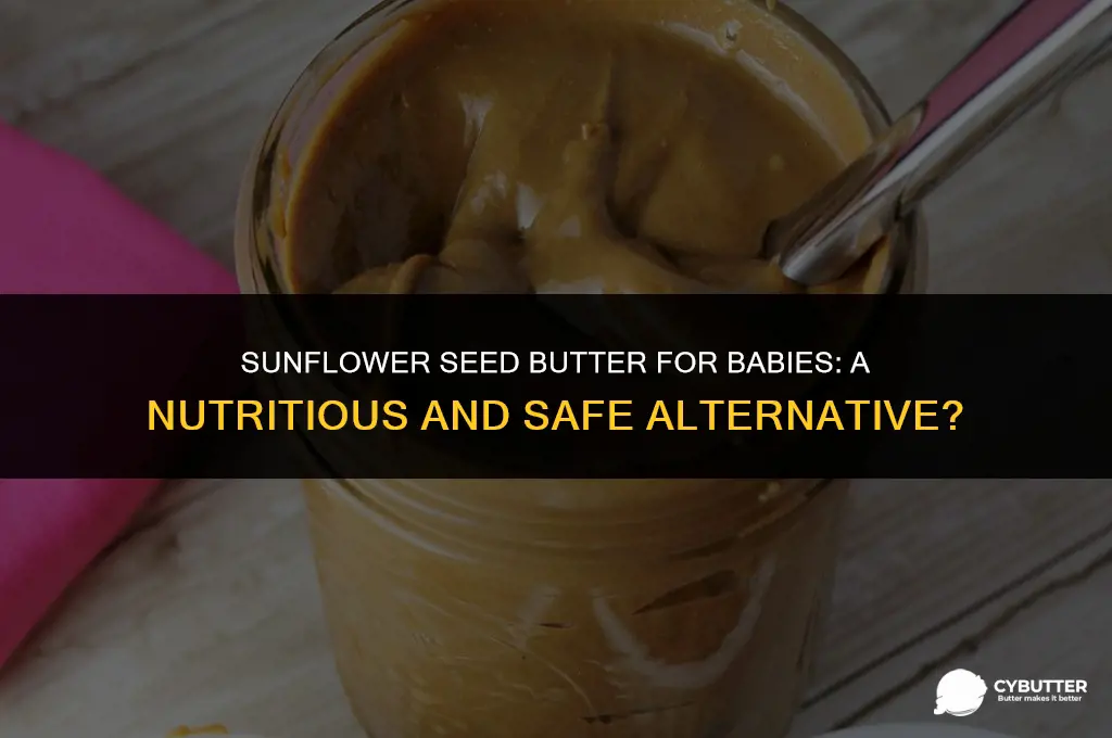 can babies eat sunflower seed butter