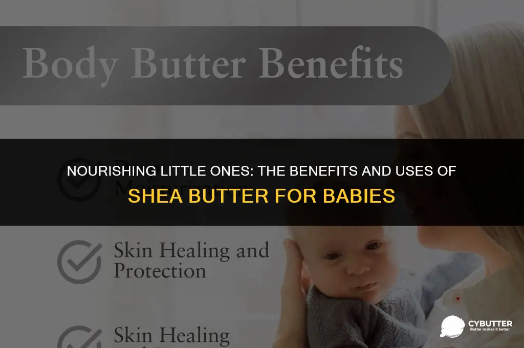 can babies use shea butter