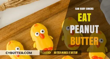 Peanut Butter for Baby Chicks: A Nutritious Treat or Not?