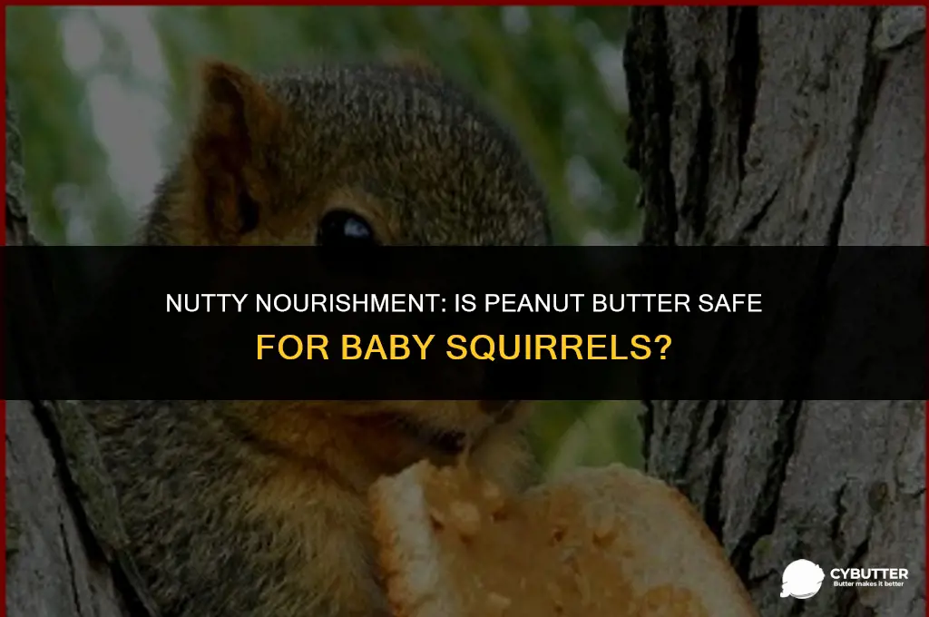 can baby squirrels eat peanut butter