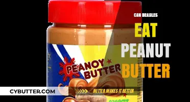 Peanut Butter for Beagles: A Tasty Treat or Nutty No-No?