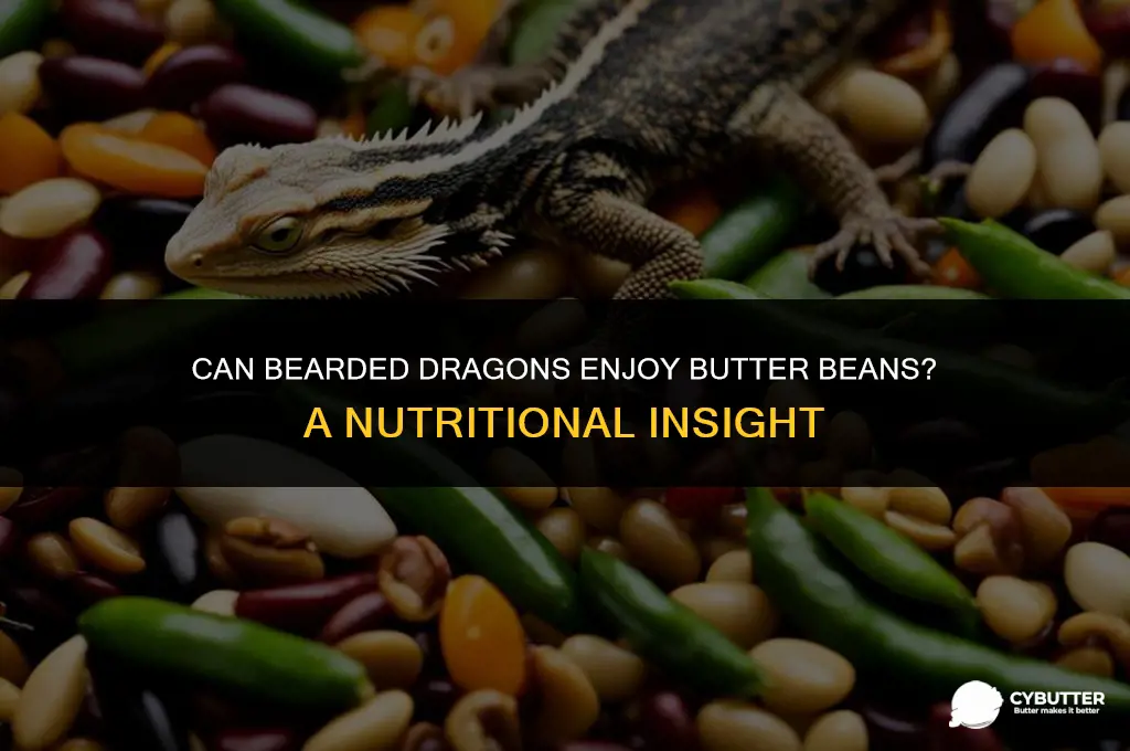 can bearded dragons eat butter beans