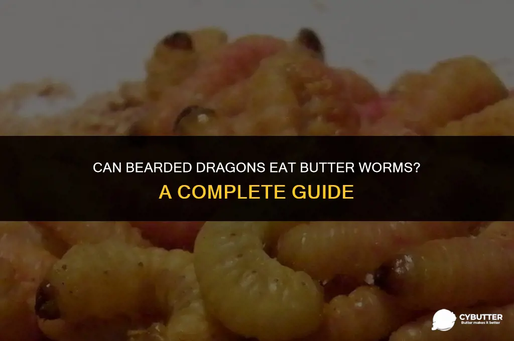 can bearded dragons eat butter worms