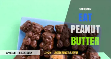 Can Bears Eat Peanut Butter? A Surprising Truth Revealed!