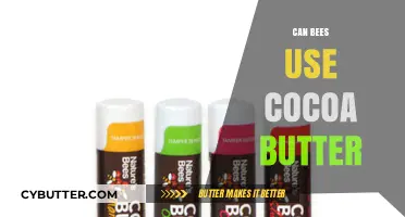 Sweet Solutions: Exploring Cocoa Butter's Benefits for Busy Bees