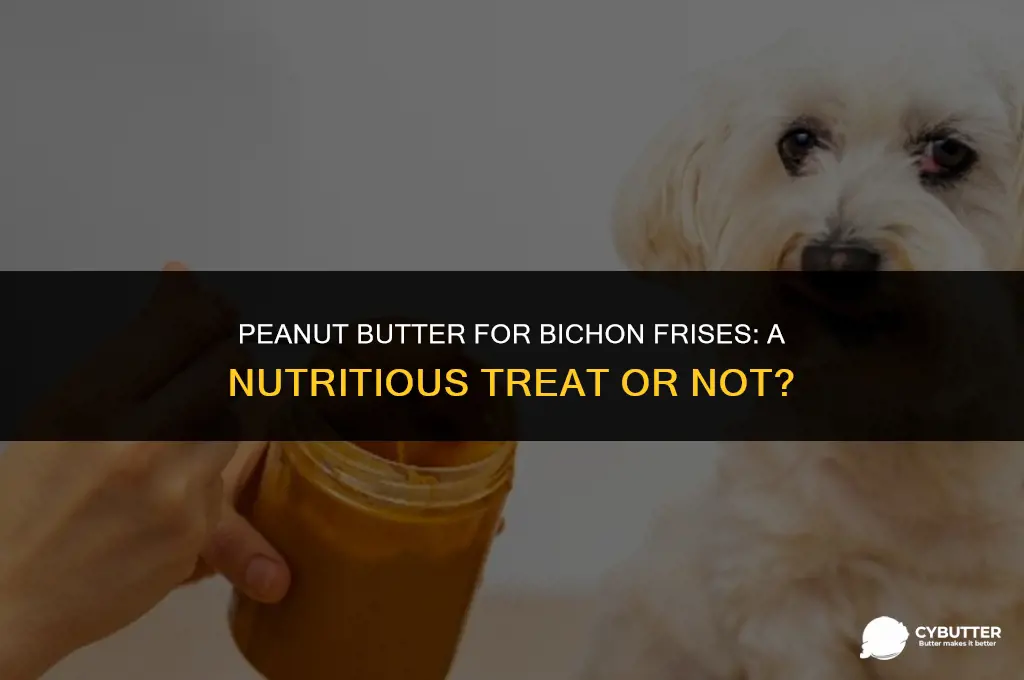 can bichon frise eat peanut butter