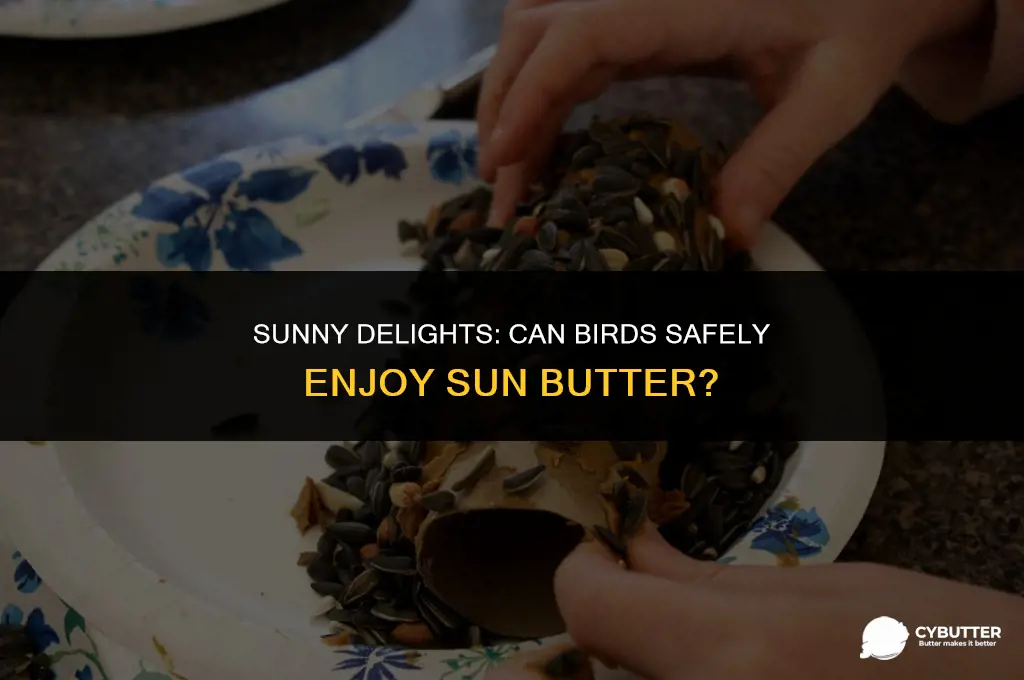 can bird eat sun butter