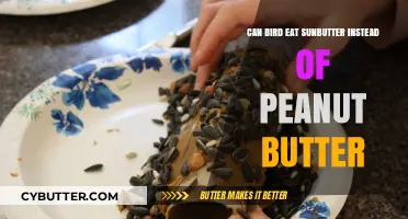 Sunbutter vs Peanut Butter: A Nutritious Alternative for Feathered Friends?