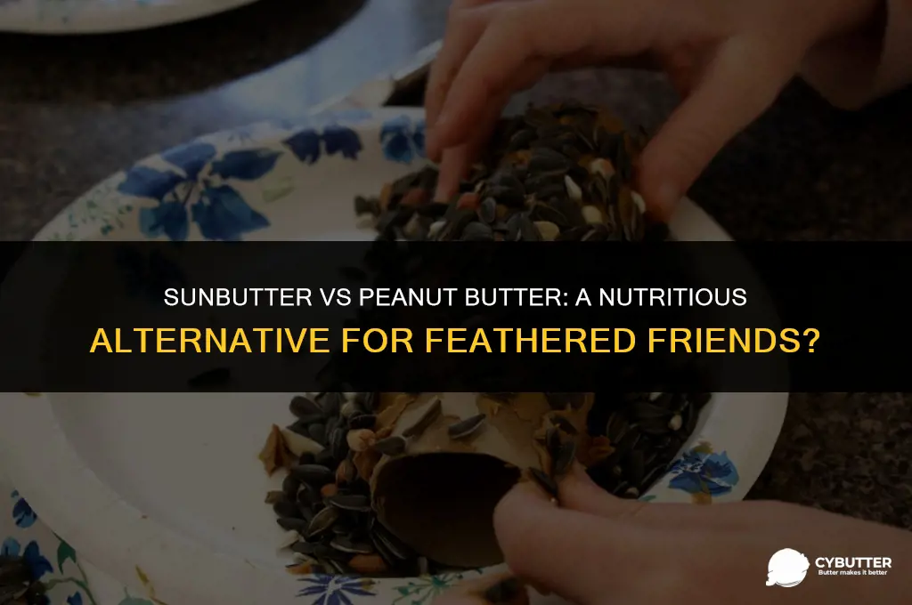 can bird eat sunbutter instead of peanut butter