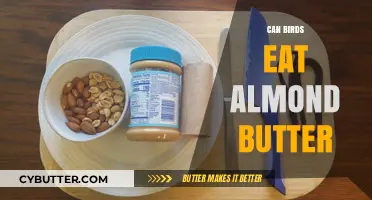 Almond Butter for Birds: A Nutritious Treat or Toxic Hazard?