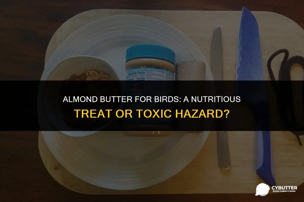 can birds eat almond butter