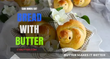 Buttered Bread: A Tasty Treat for Feathered Friends?