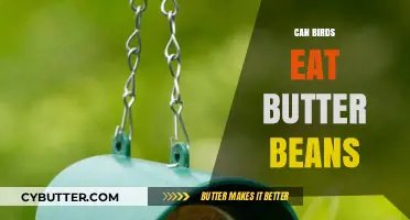 Feathered Friends and Butter Beans: A Nutritional Guide
