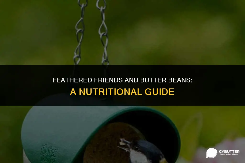 can birds eat butter beans